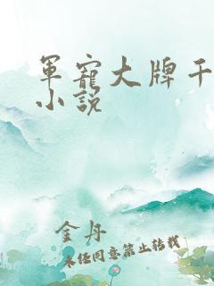 军宠大牌千金 小说
