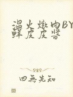 温火炖肉BY海鲜皮皮酱