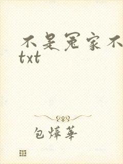 不是冤家不聚头txt