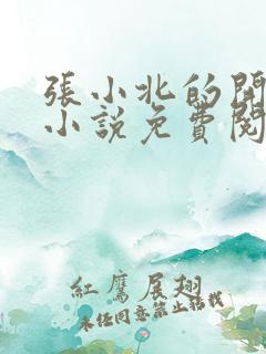 张小北的开光师小说免费阅读怎么没有276章