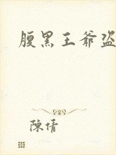 腹黑王爷盗墓妃