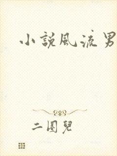 小说风流男护理