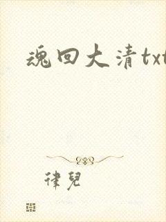 魂回大清txt