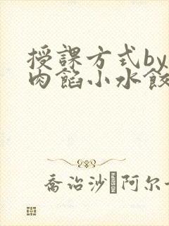 授课方式by 肉馅小水饺