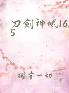 刀剑神域16.5
