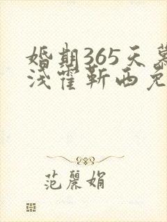 婚期365天慕浅霍靳西免费阅读