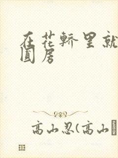 在花轿里就开始圆房