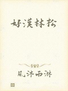 好汉林松