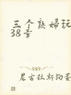 三个熟妇玩双飞38章