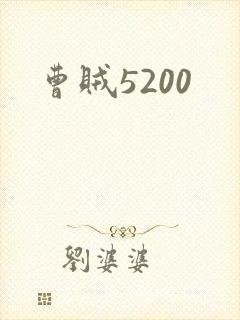曹贼5200