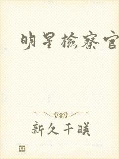 明星检察官小说