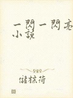 一闪一闪亮星星小说