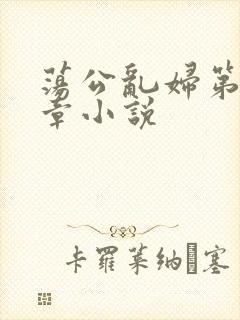 荡公乱妇第51章小说