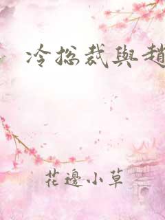 冷总裁与赵大牌