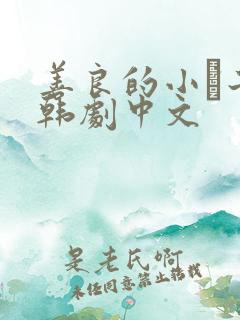 善良的小峓子2韩剧中文