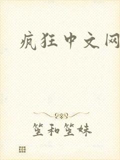 疯狂中文网