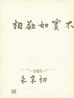 相敬如宾不相睹