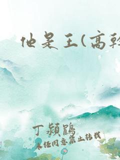 他是王(高干)