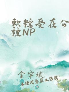 软糯受在公交车被NP
