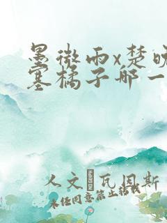 墨微雨x楚晚宁塞橘子哪一章