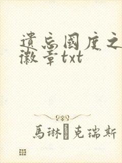 遗忘国度之神秘徽章txt