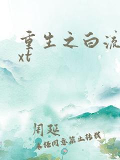 重生之白流苏txt