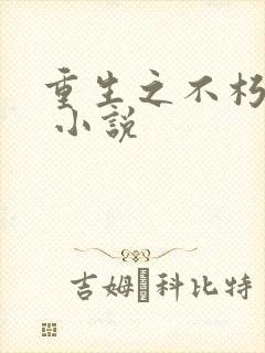 重生之不朽传奇 小说