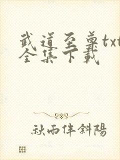 武道至尊txt全集下载