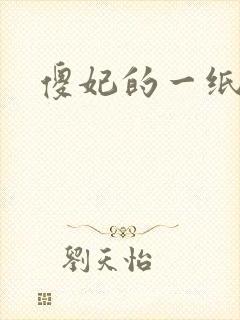 傻妃的一纸休书