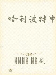 哈利波特中文版