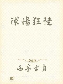 球场狂徒