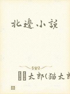 北边小说