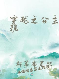 穿越之公主要娶亲