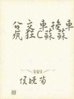 公交车后车座的疯狂C苏苏