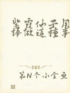 紫霞仙子用金箍棒做这种事