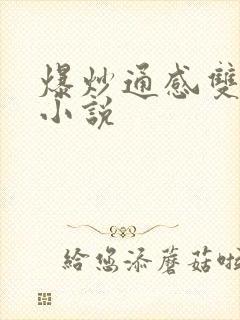 爆炒通感双胞胎小说