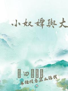 小奴婢与大少爷