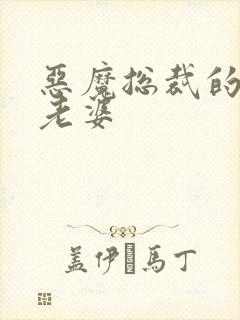 恶魔总裁的宝贝老婆