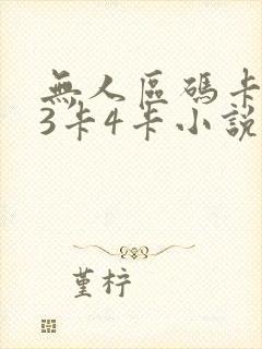 无人区码卡二卡3卡4卡小说
