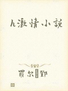 h激情小说