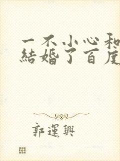 一不小心和醋精结婚了百度云