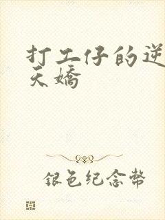 打工仔的逆袭楚天娇