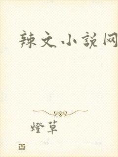 辣文小说网
