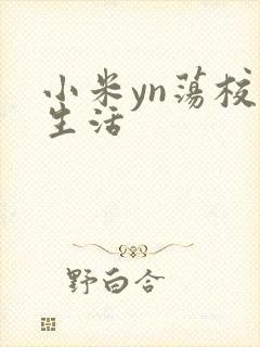 小米yn荡校园生活