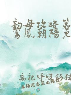 韵母攻略第二部鸾凤朝阳免费阅读