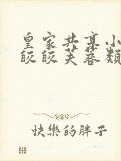 皇家共享小公主皎皎芙蓉类小说