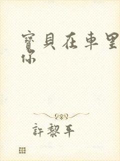 宝贝在车里想要你