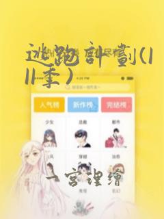 逃跑计划(I II季)