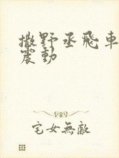 撒野丞飞车道具震动