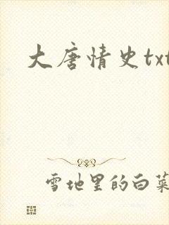 大唐情史txt